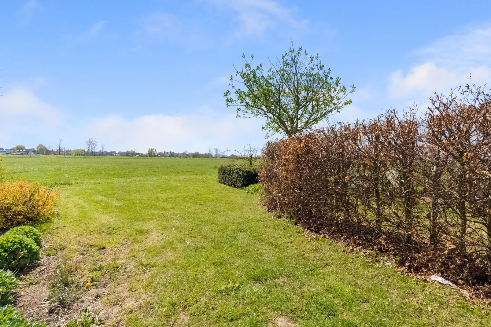 De Genderense Hoeve-Uitzicht zomer