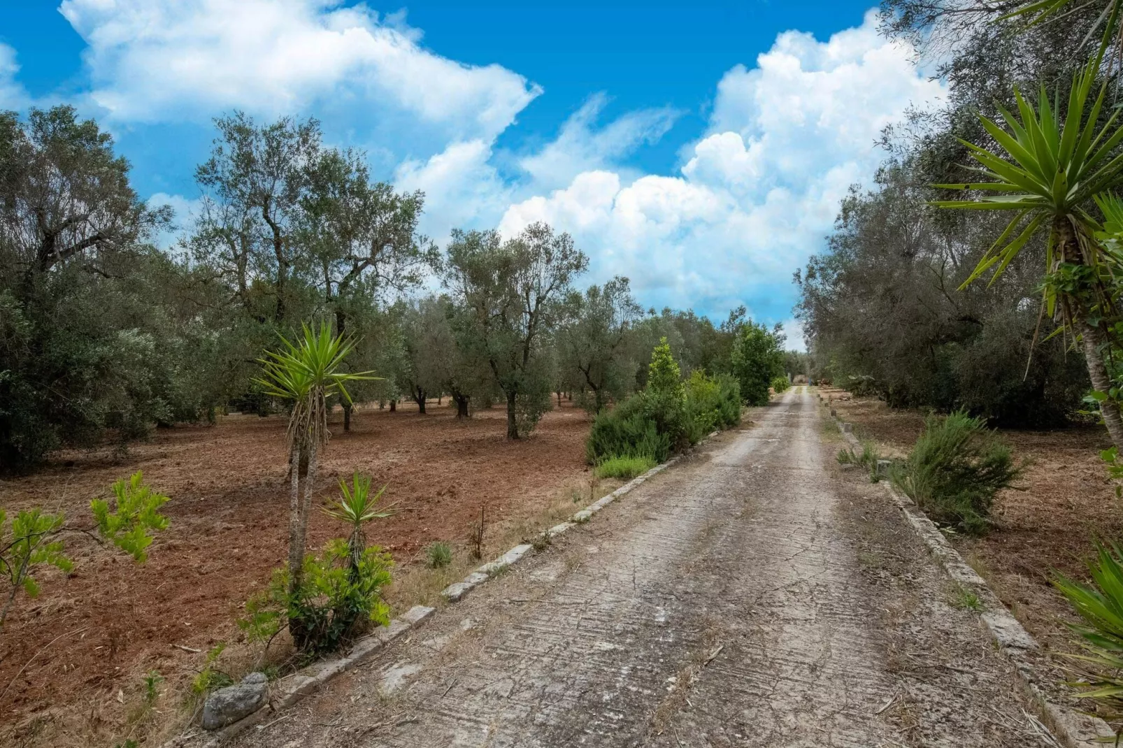 Villa azzurza - Gebieden zomer 1km