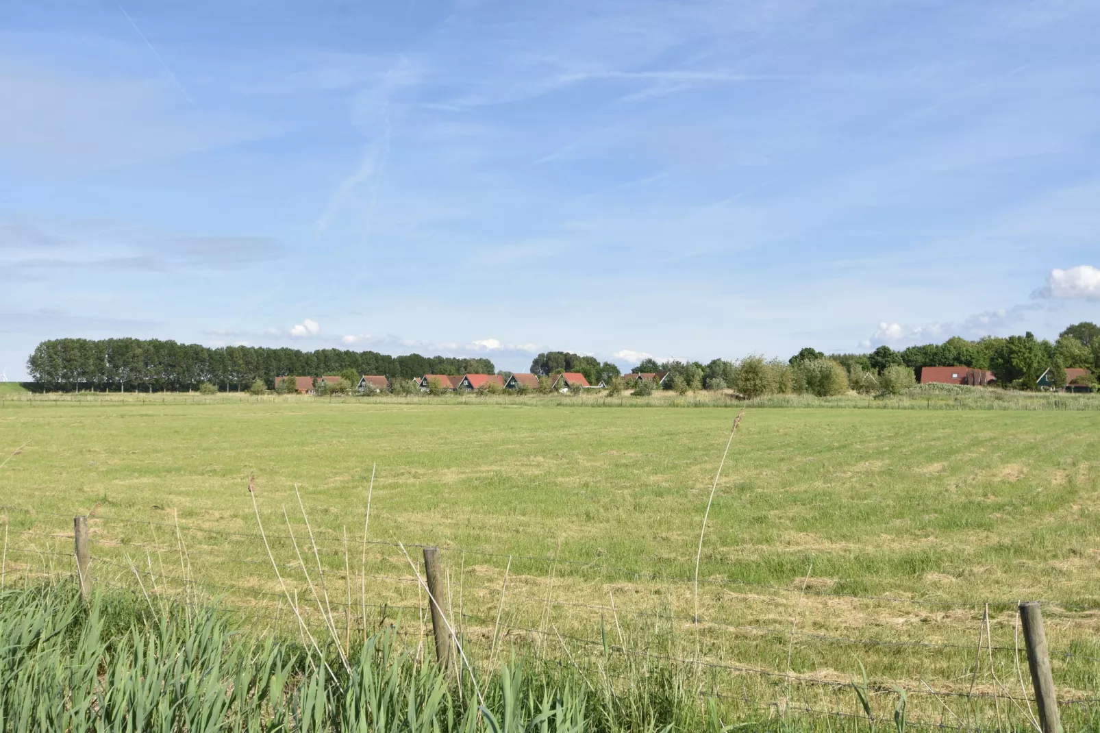 Het Volkerak-Gebieden zomer 1km