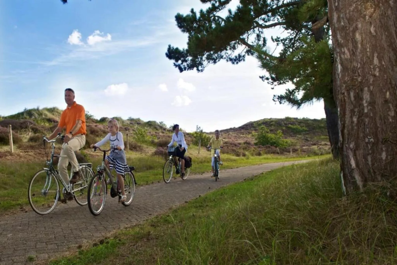 Duinland 181-Gebieden zomer 20km