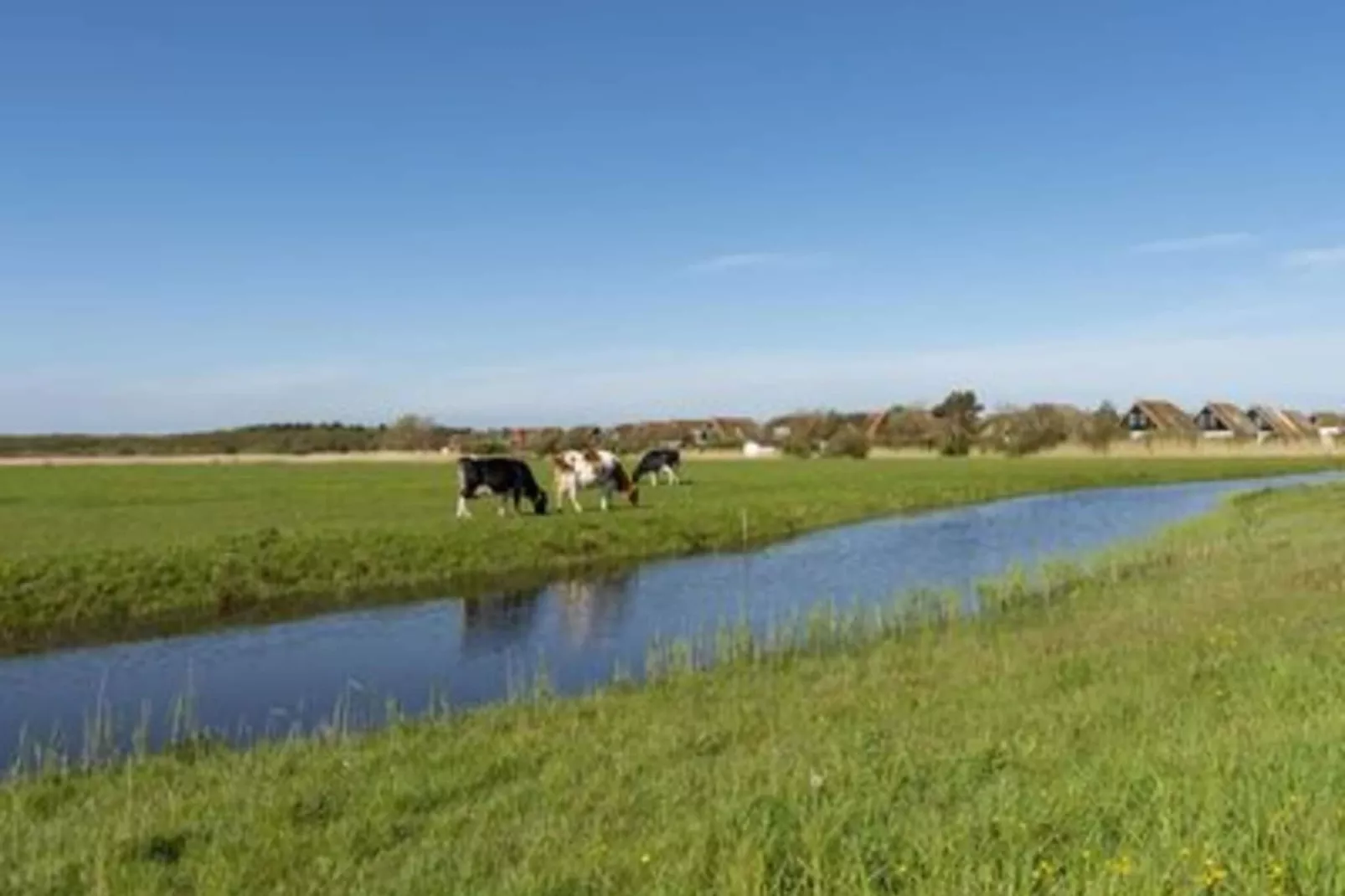 De Buitenplaats 42