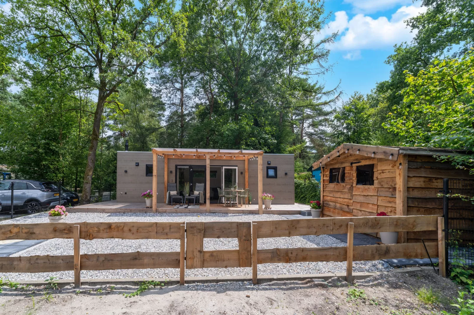 Lodge David