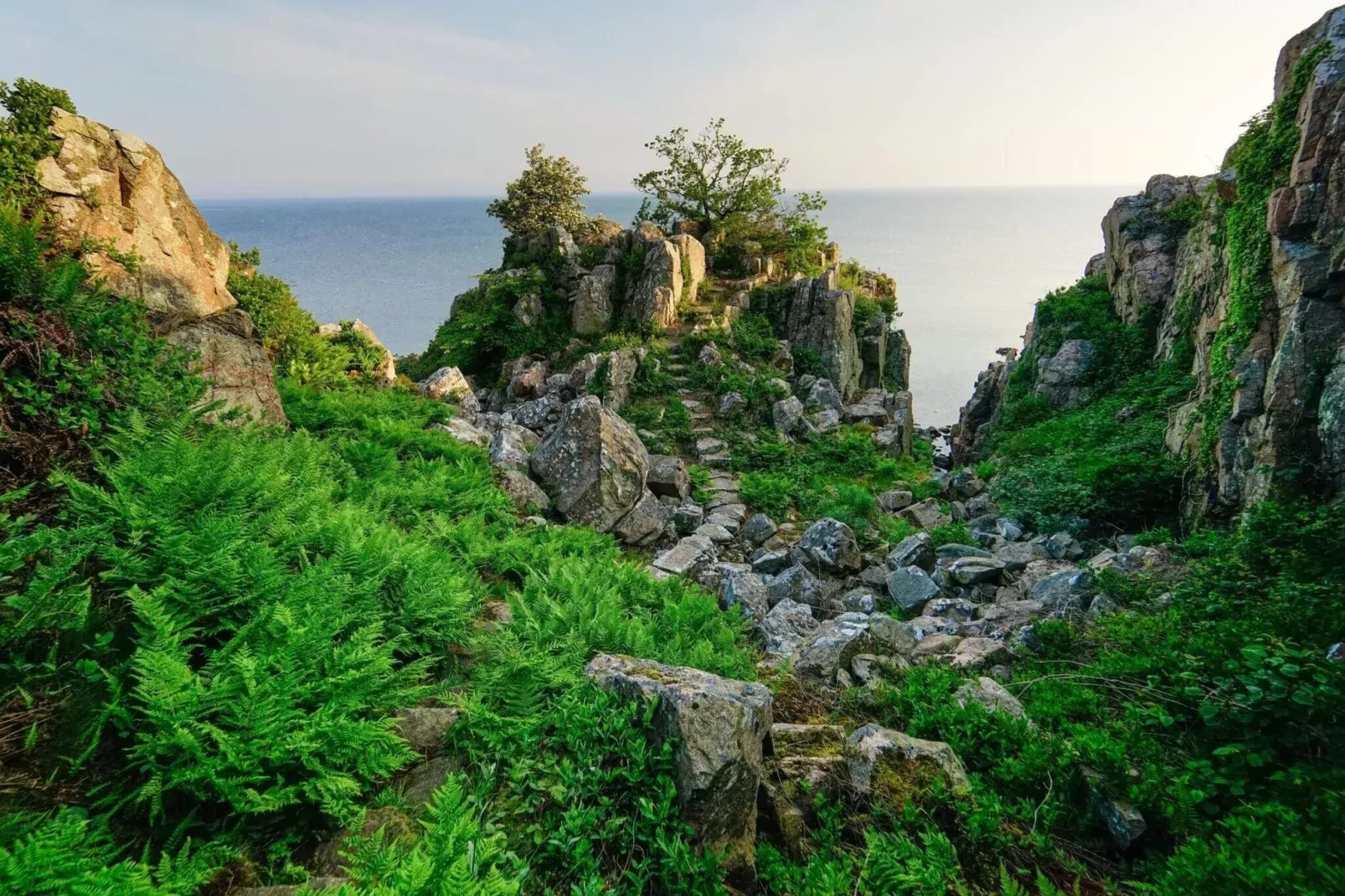 3 room w/seaview-PLUS-Waterzicht