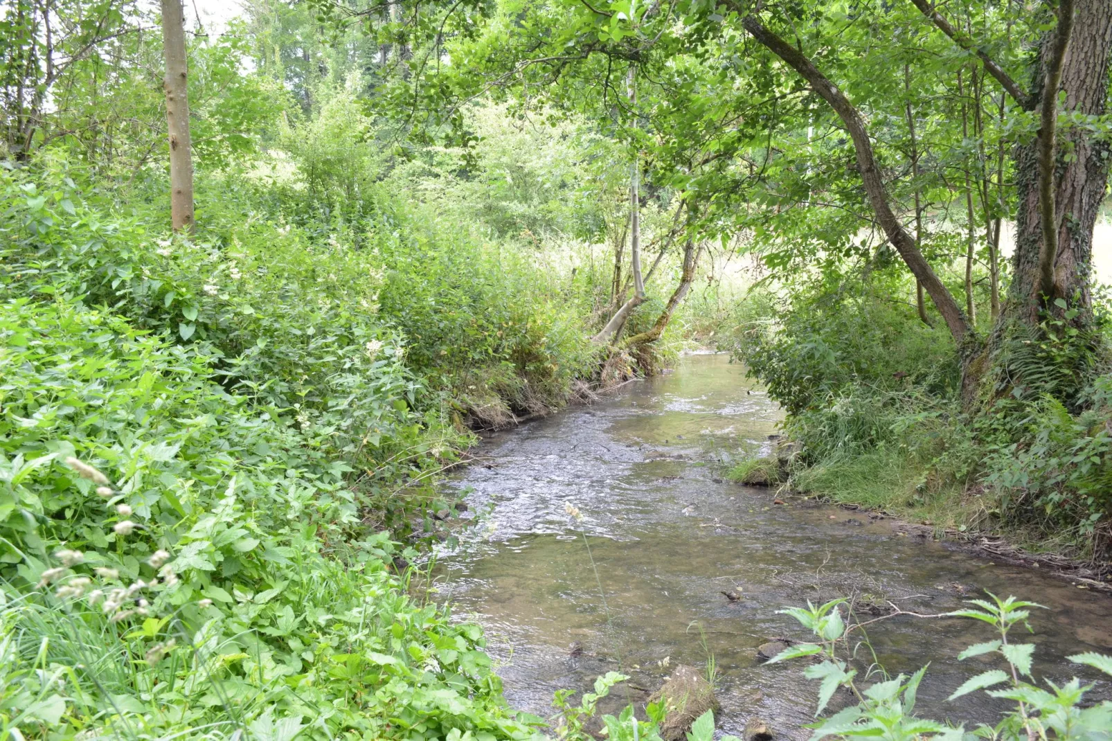 Au Pas Perdu-Gebieden zomer 1km