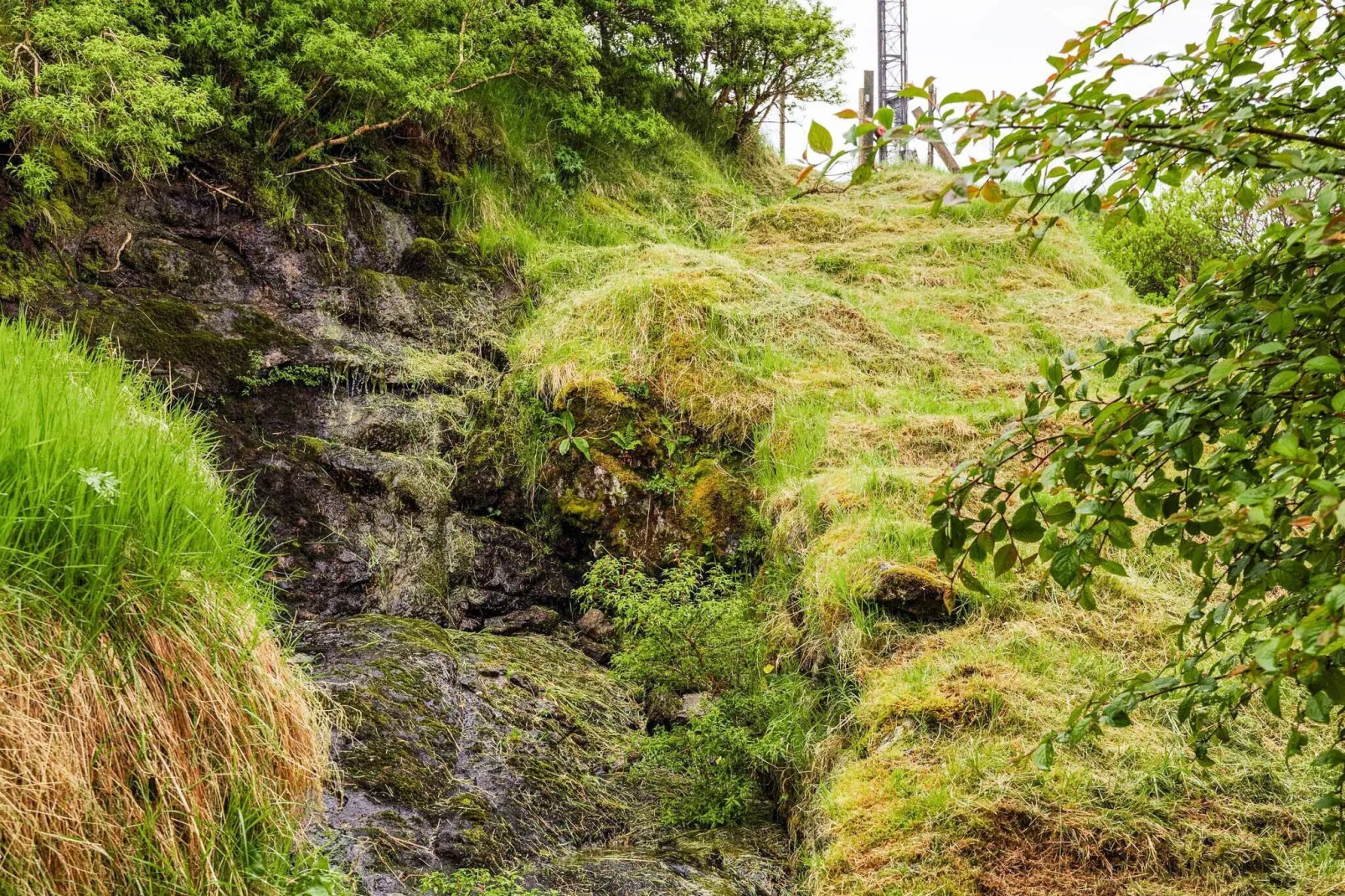 Rustige oase in Kvivik -- By Traum Ferienwohnungen-Buitenlucht