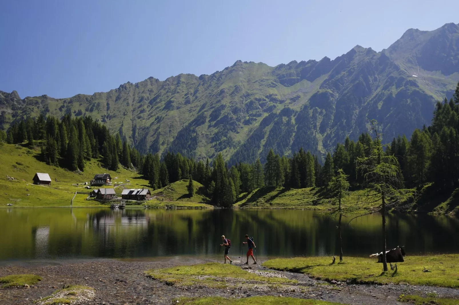 Alpenchalets Reiteralm 11-Gebieden zomer 5km