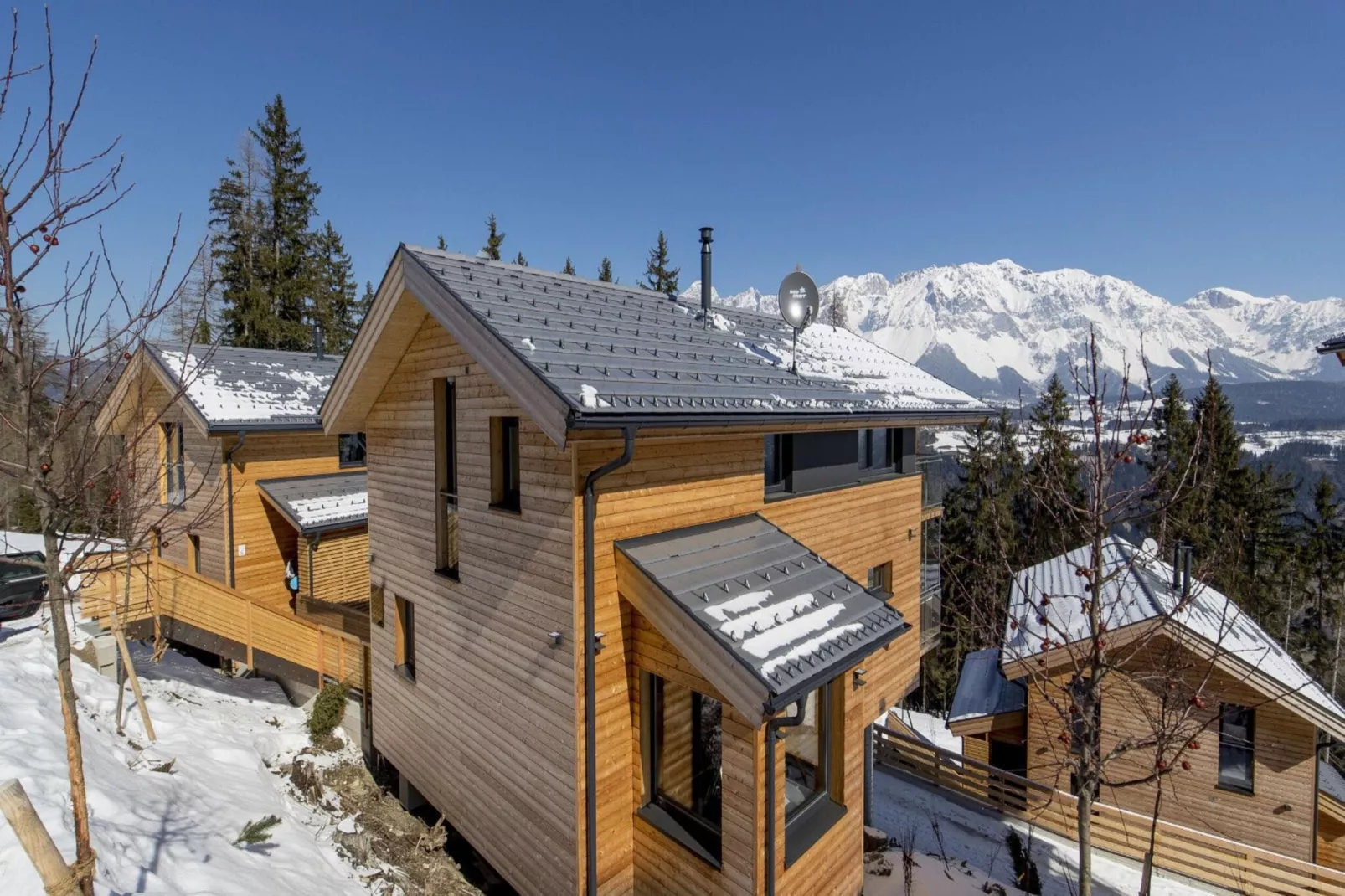 Alpenchalets Reiteralm 6-Exterieur winter
