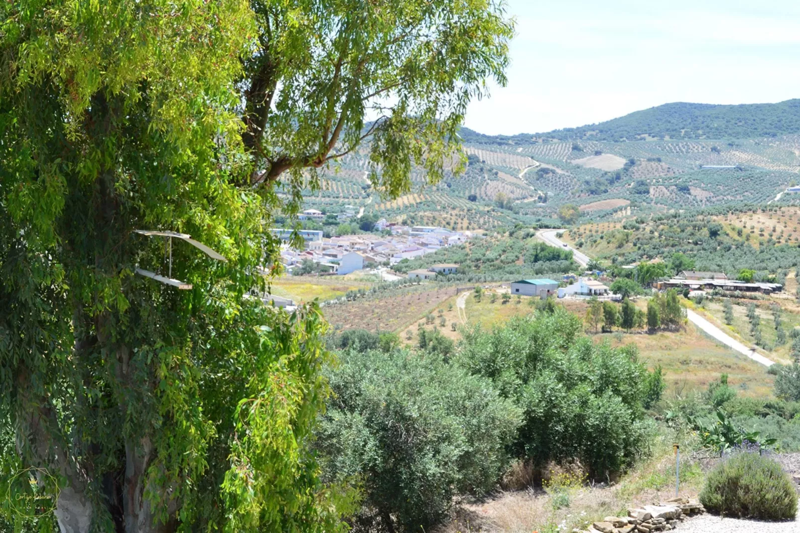 Cortijo Rosario-Uitzicht zomer