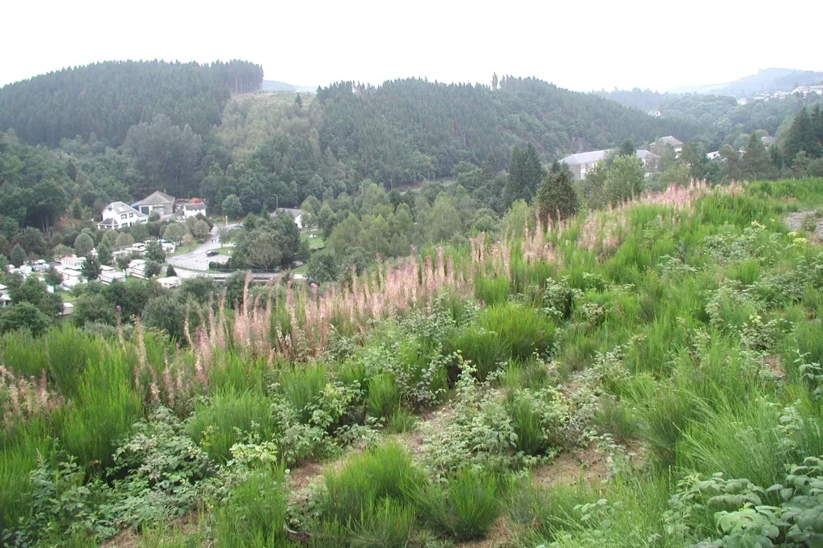 Les Jardins de l'Ourthe 16-Gebieden zomer 1km
