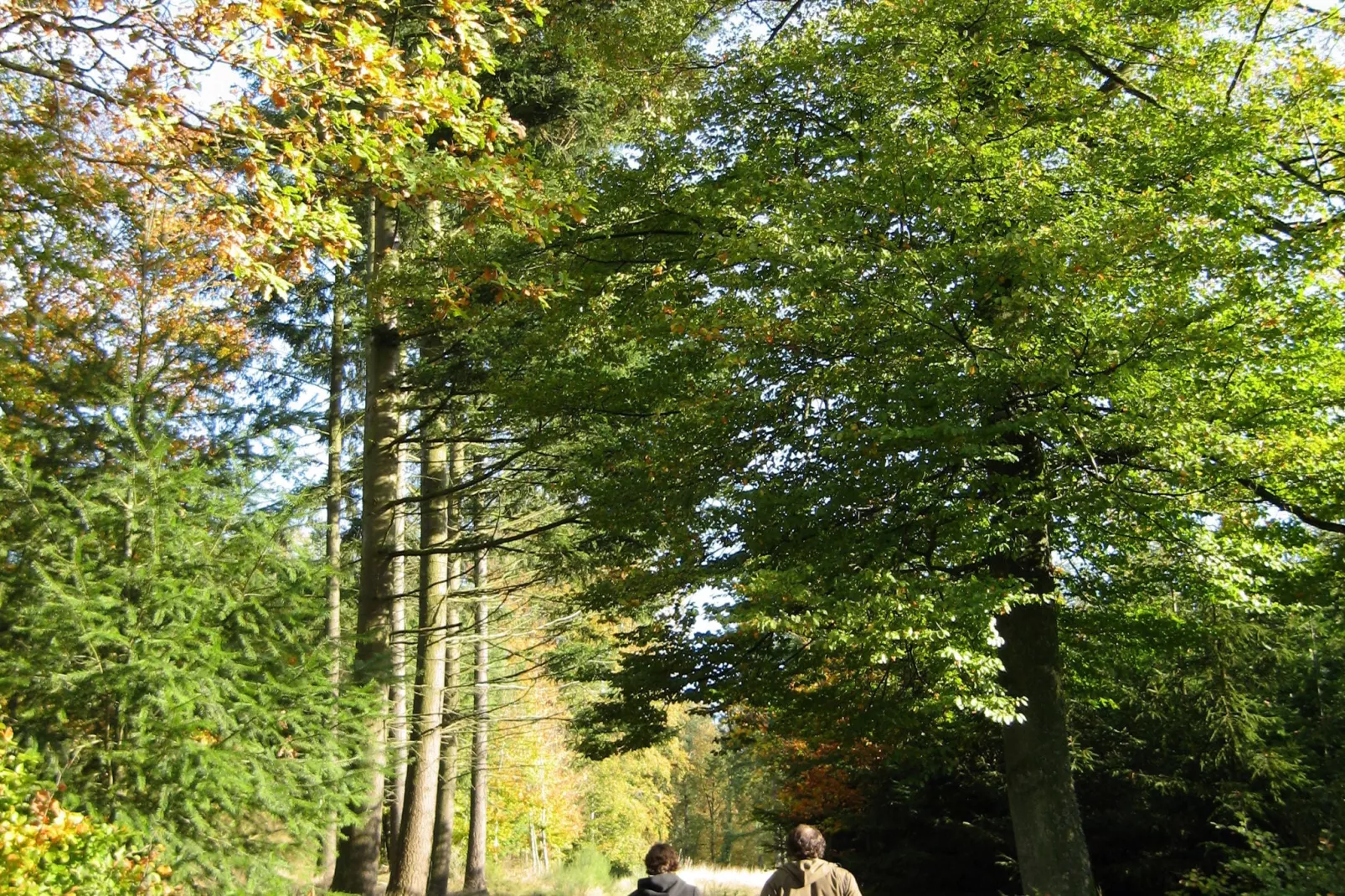 Les Jardins de l'Ourthe 8-Tuinen zomer