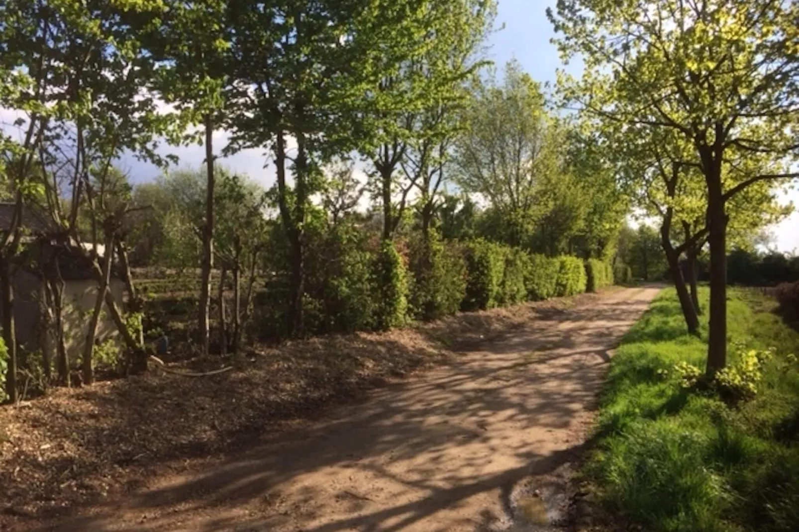 Boshuisje-Gebieden zomer 1km