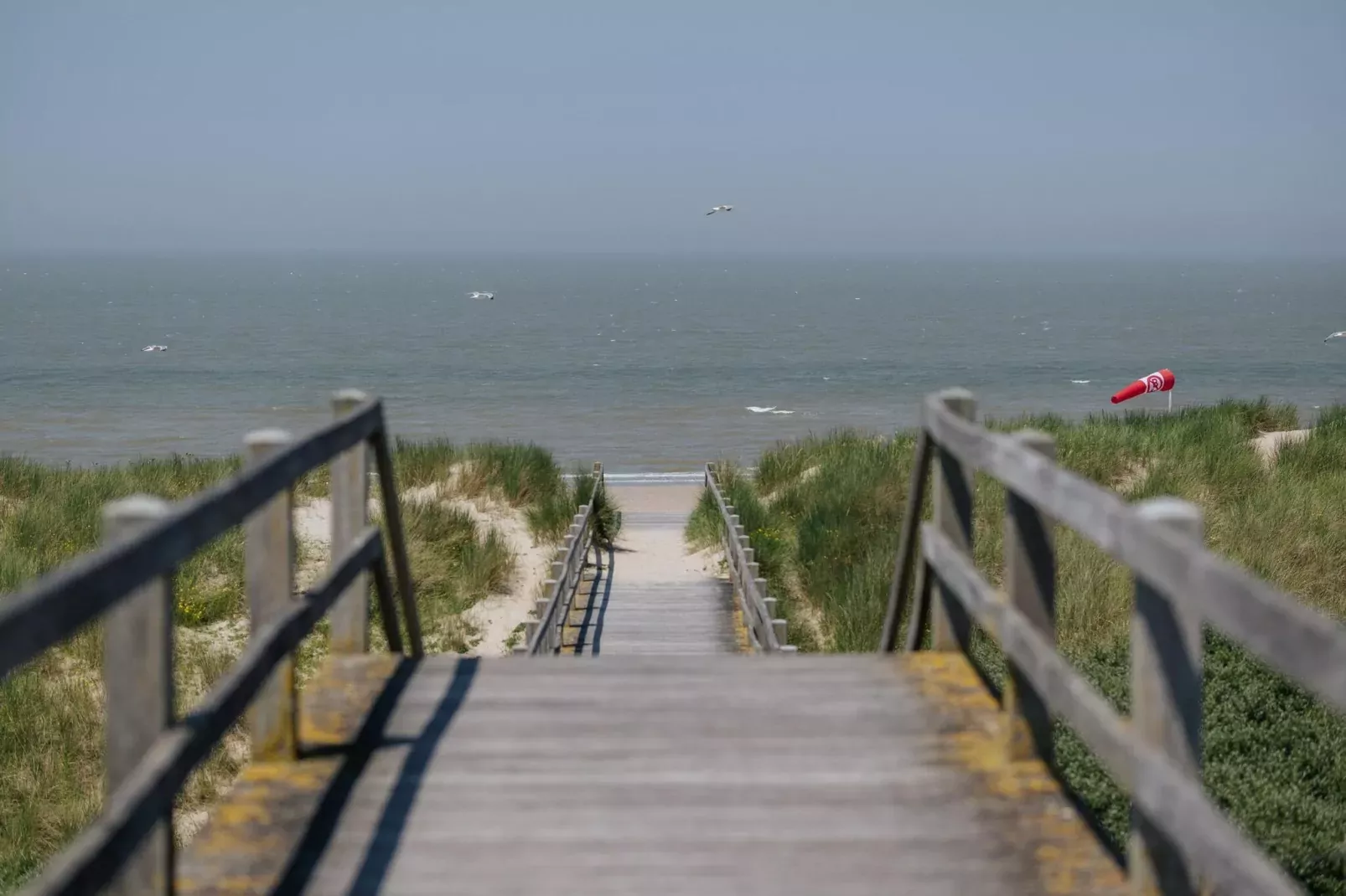 Golden beach 2 D 0204 2D-Gebieden zomer 20km