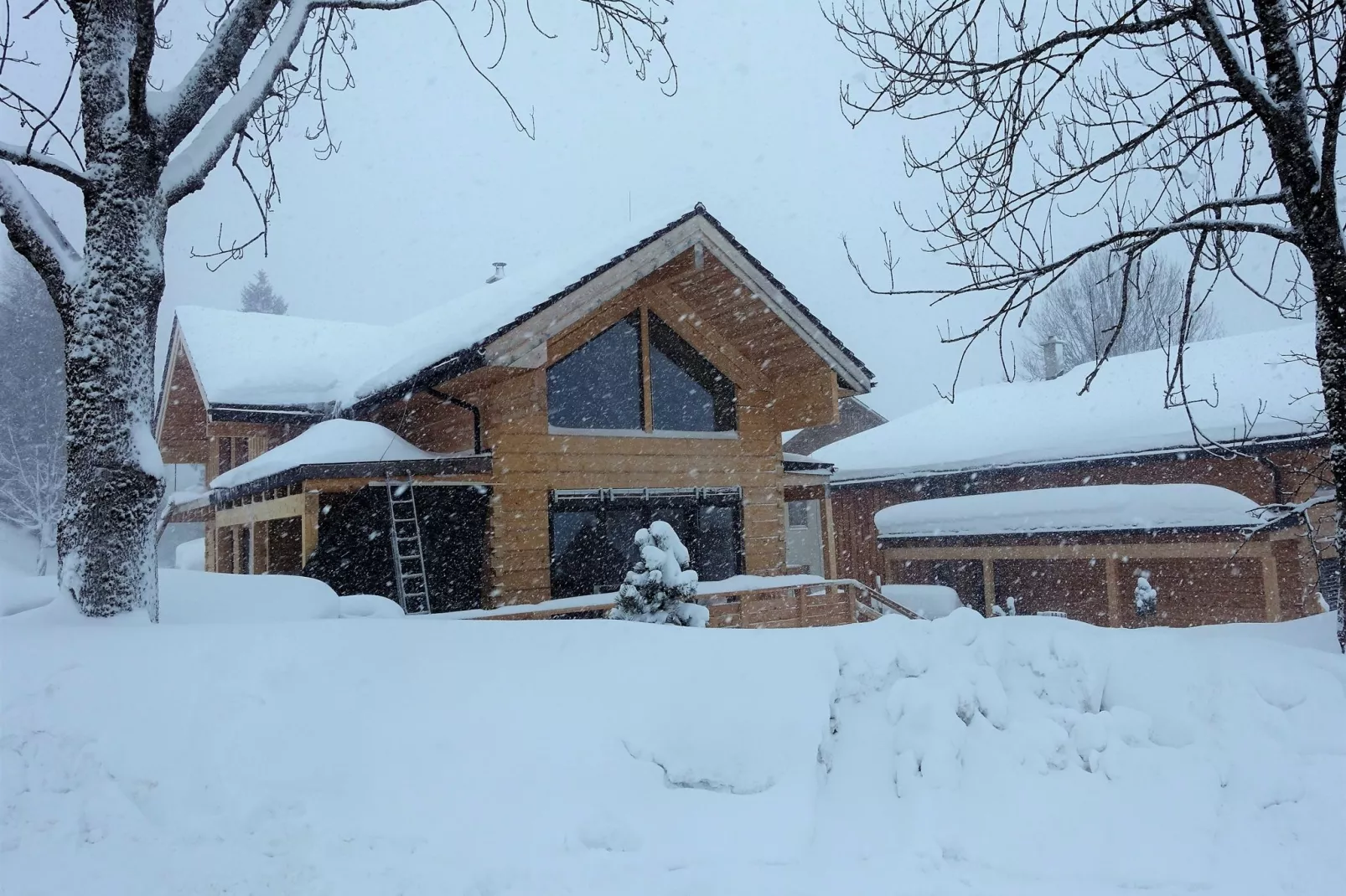 Holzchalet Tauplitz - Exterieur winter