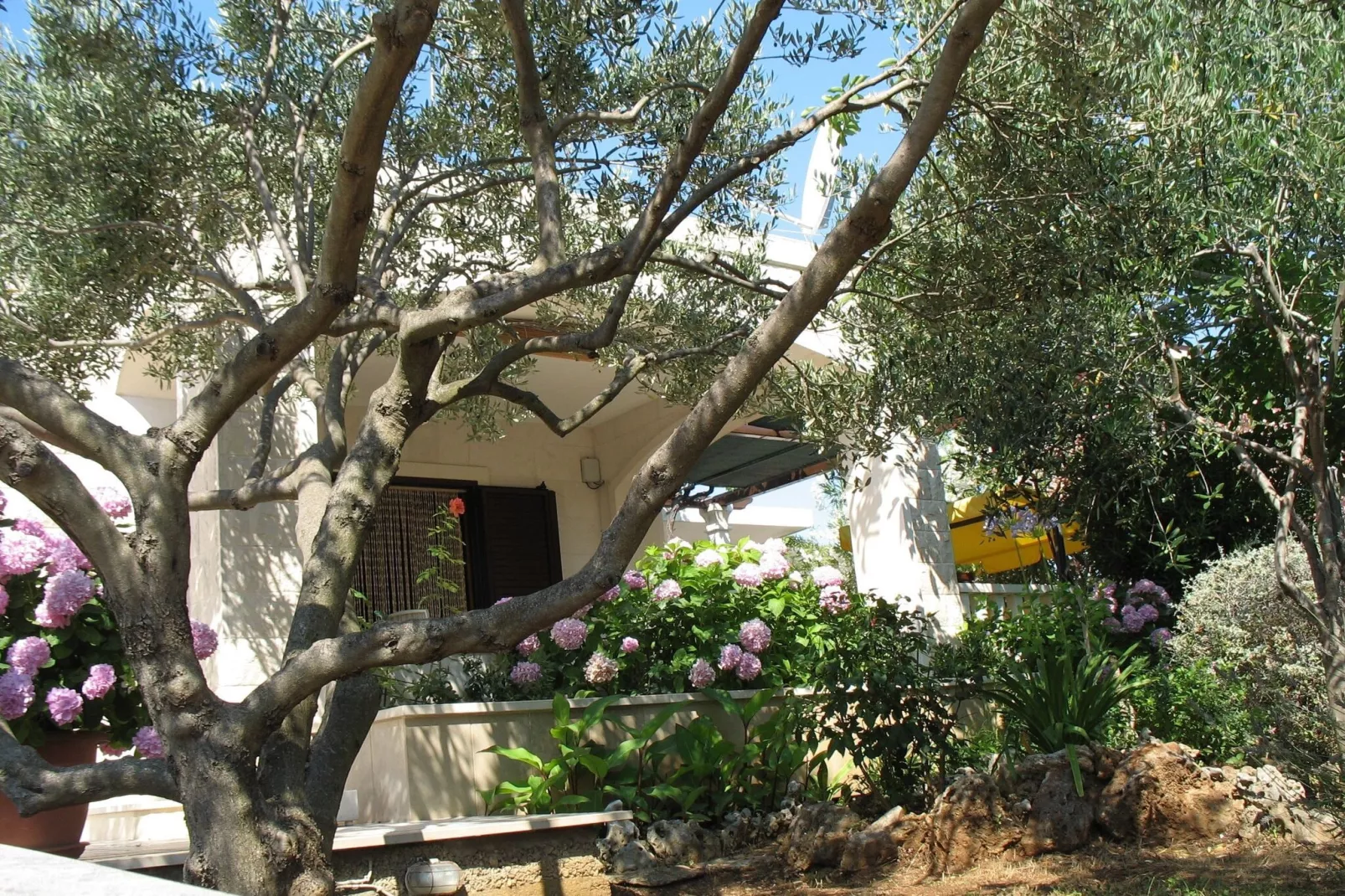 terrace