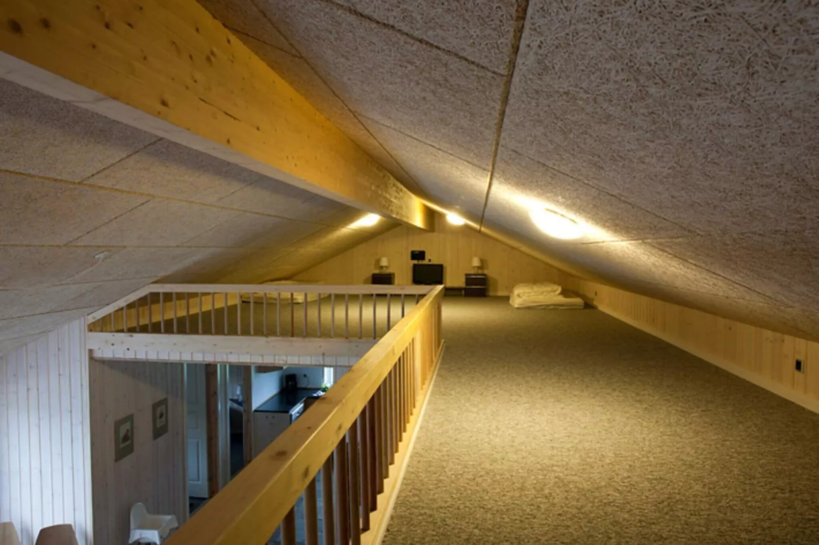 4 sterren vakantie huis in Tarm