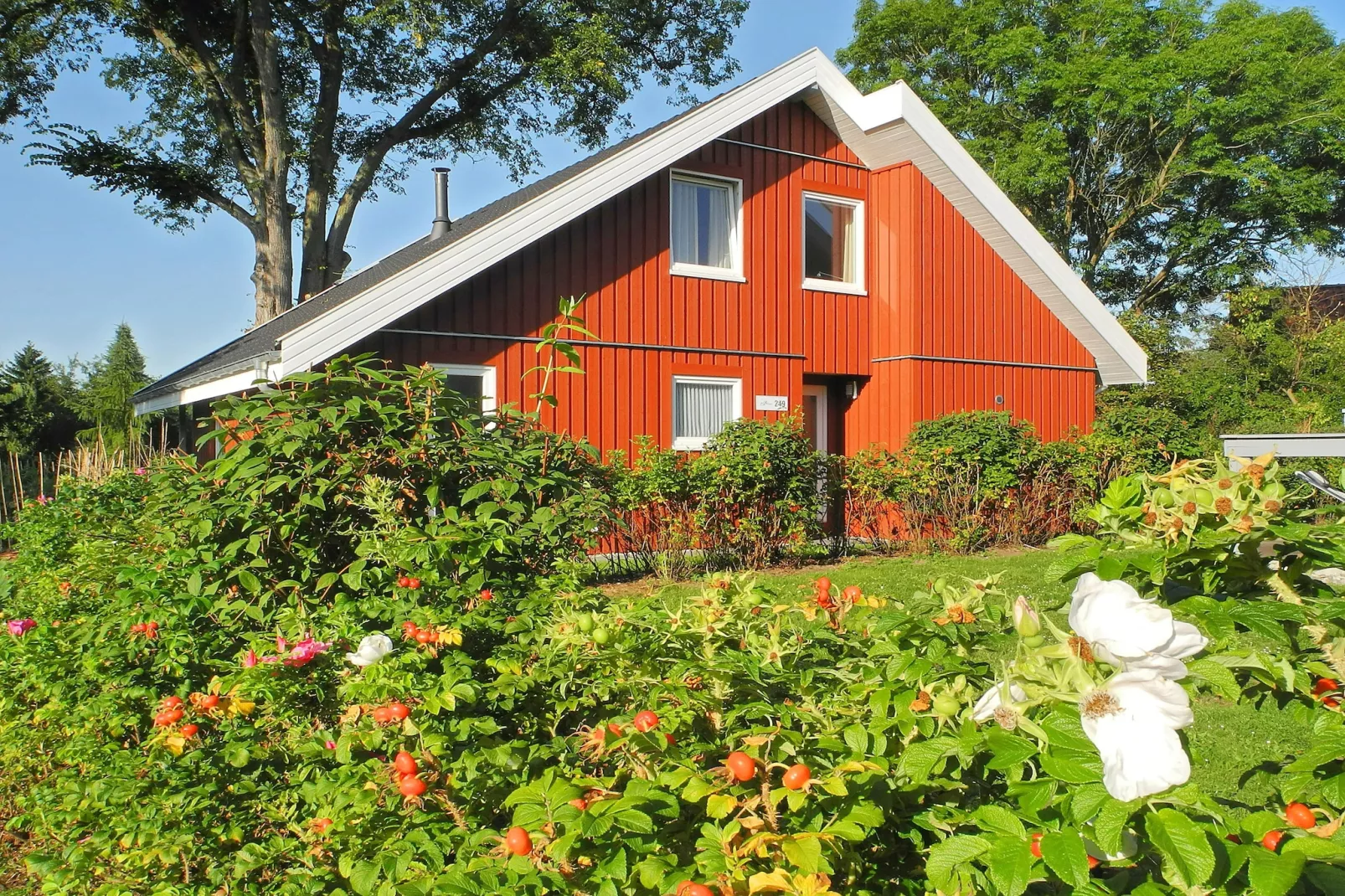 Wildgans Classic 249-Buitenkant zomer
