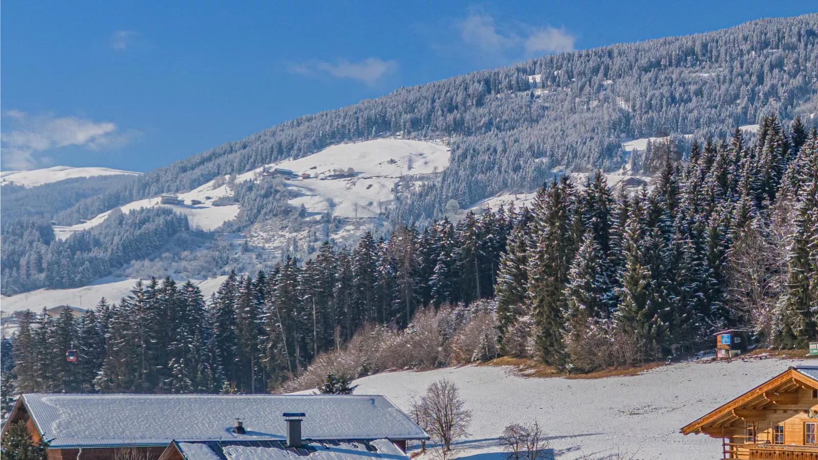 Premium Apartment Wildkogel-Gebied winter 1km