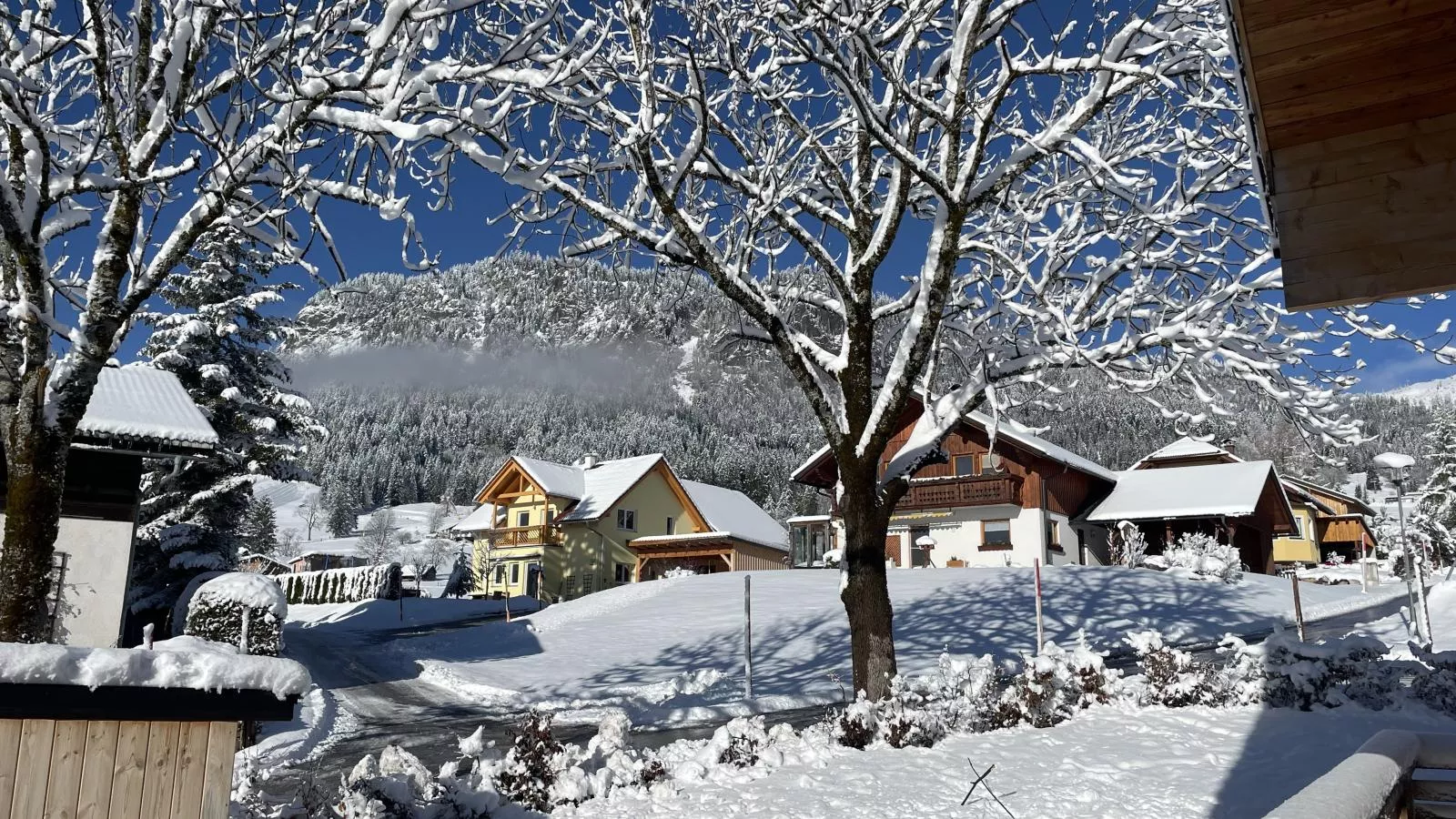 Holzchalet Tauplitz-Tuin winter