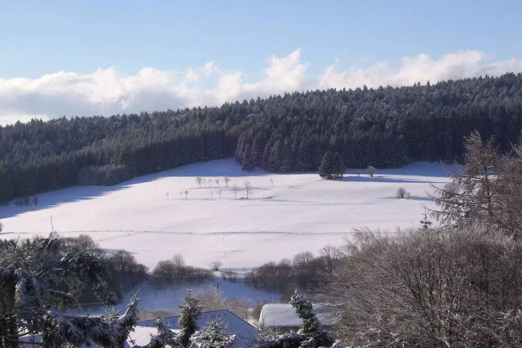 13650-Gebied winter 5km