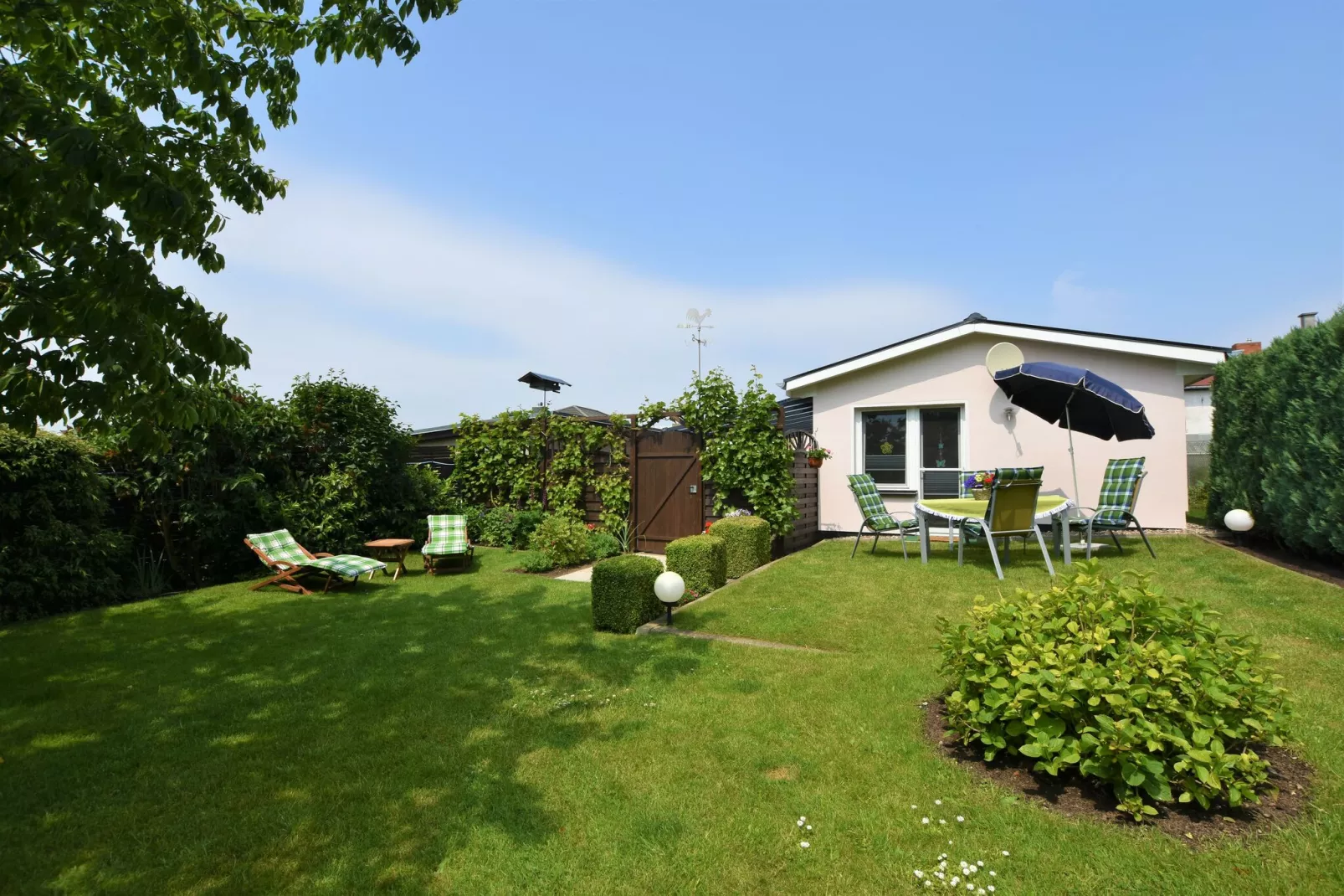 gardensummer