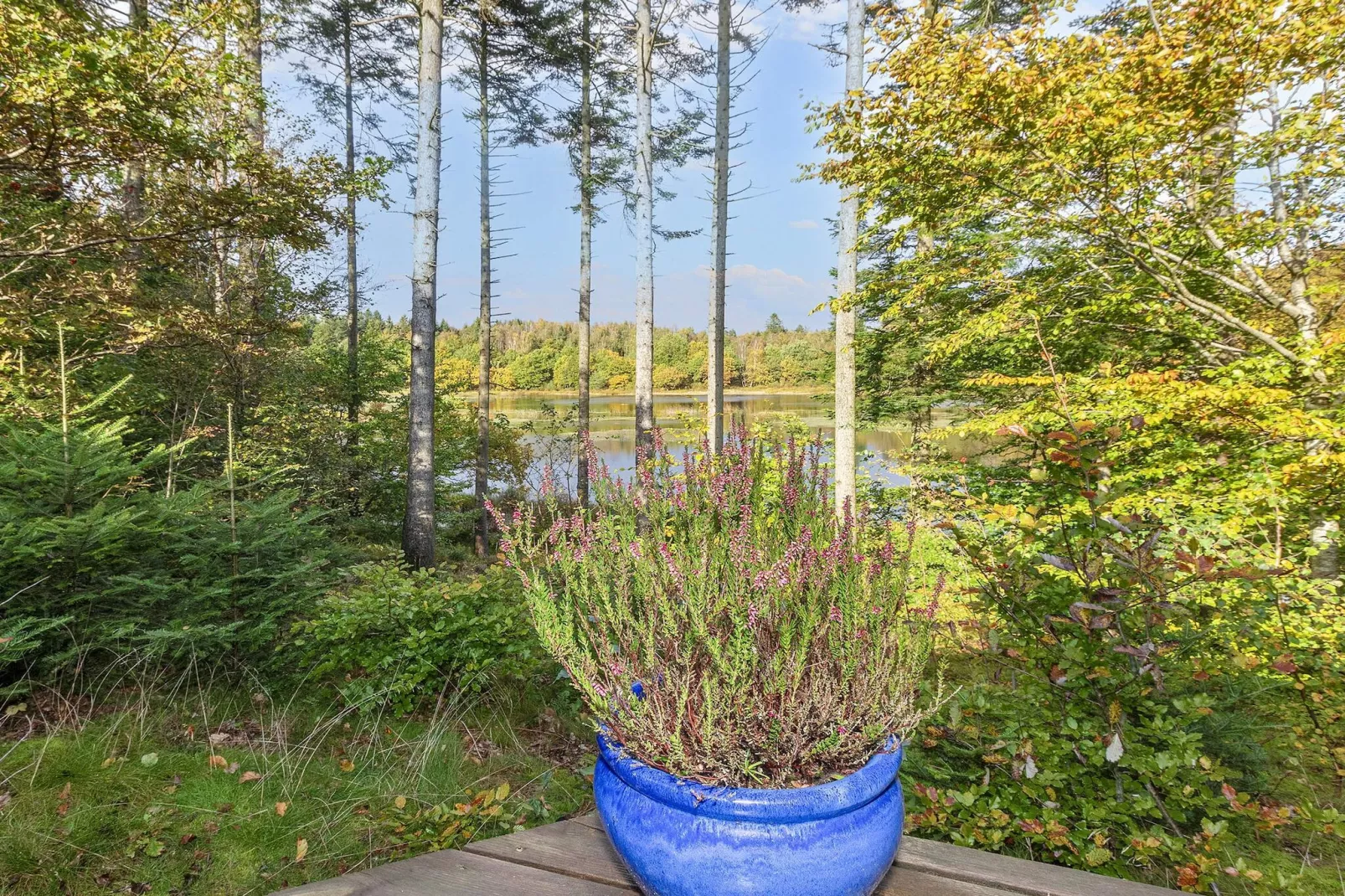 4 persoons vakantie huis in Aars-By Traum-Buitenlucht