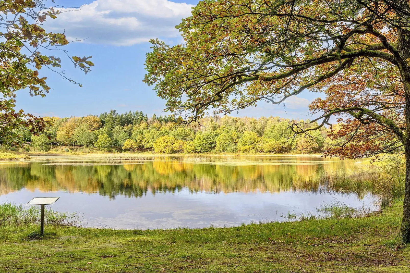 4 persoons vakantie huis in Aars-By Traum-Uitzicht