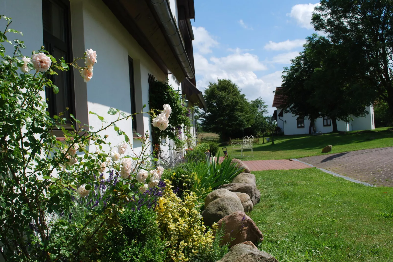 Hiddensee/ uriger Ferienpark-Buitenkant zomer