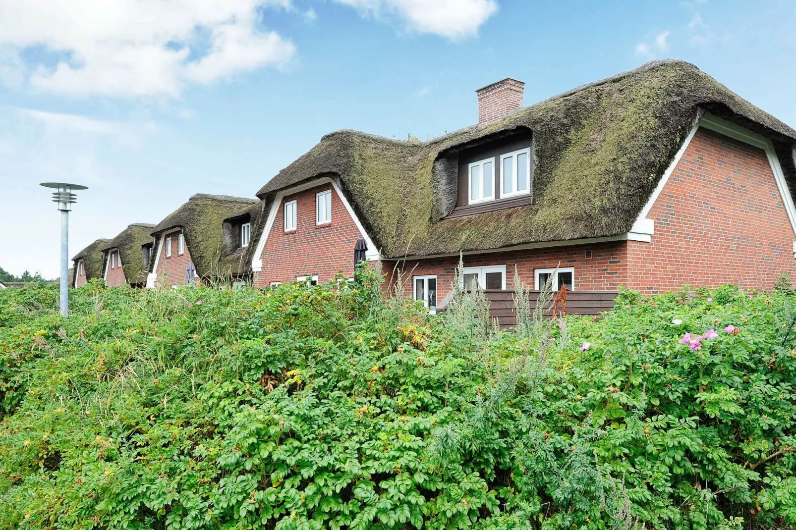 8 persoons vakantie huis in Blåvand-Uitzicht