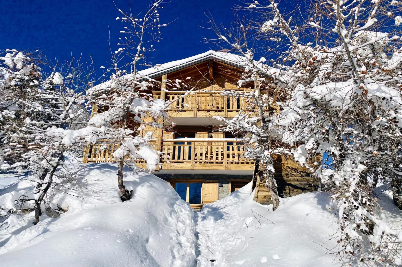 Paradis Perdu SKI IN & QUIET chalet 14 personnes-Exterieur winter
