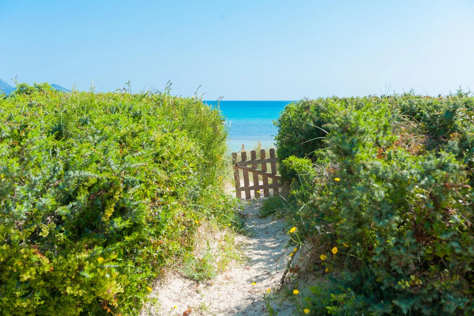 Sa Platja-Gebieden zomer 5km