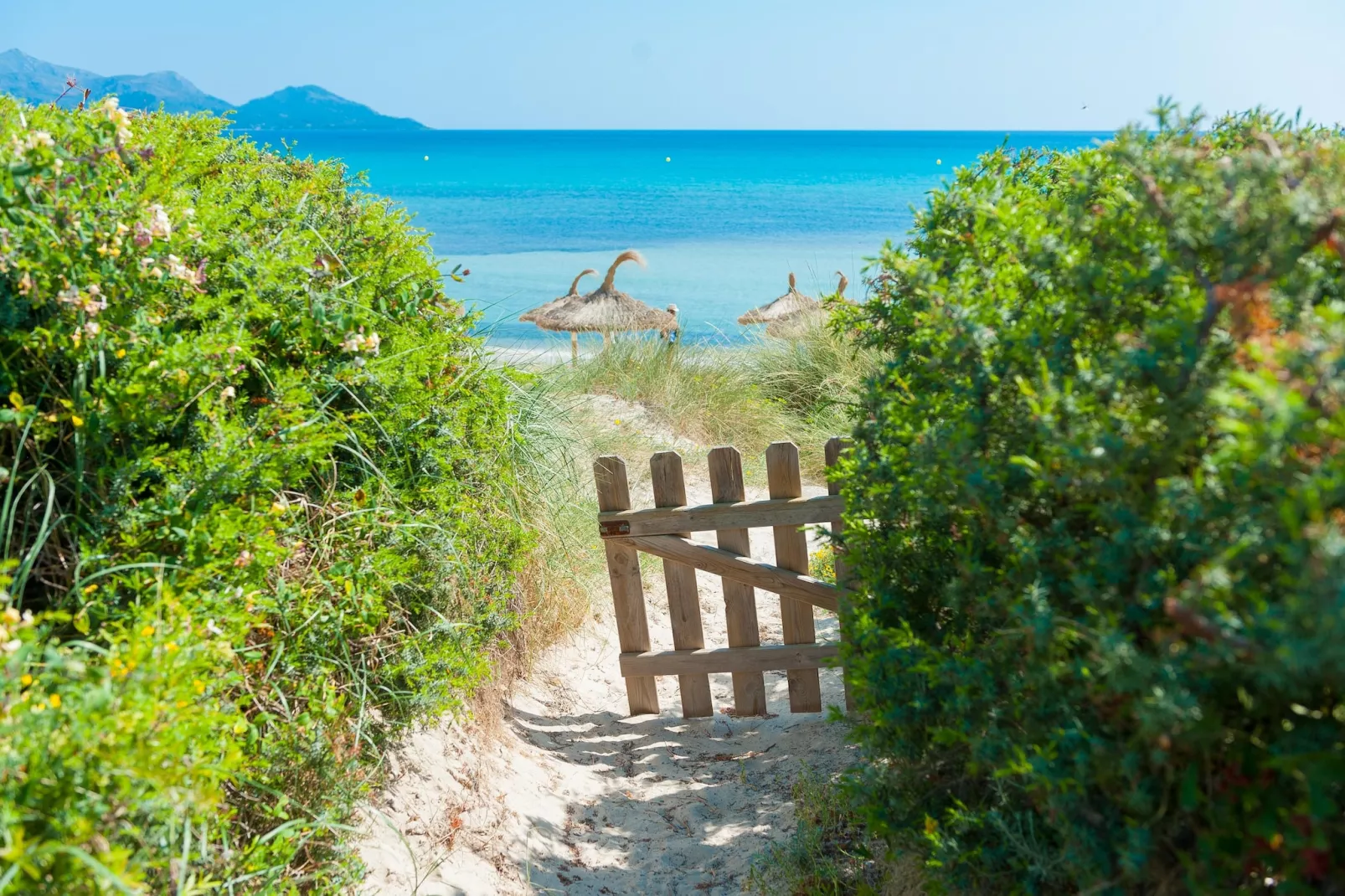 Sa Platja-Gebieden zomer 5km