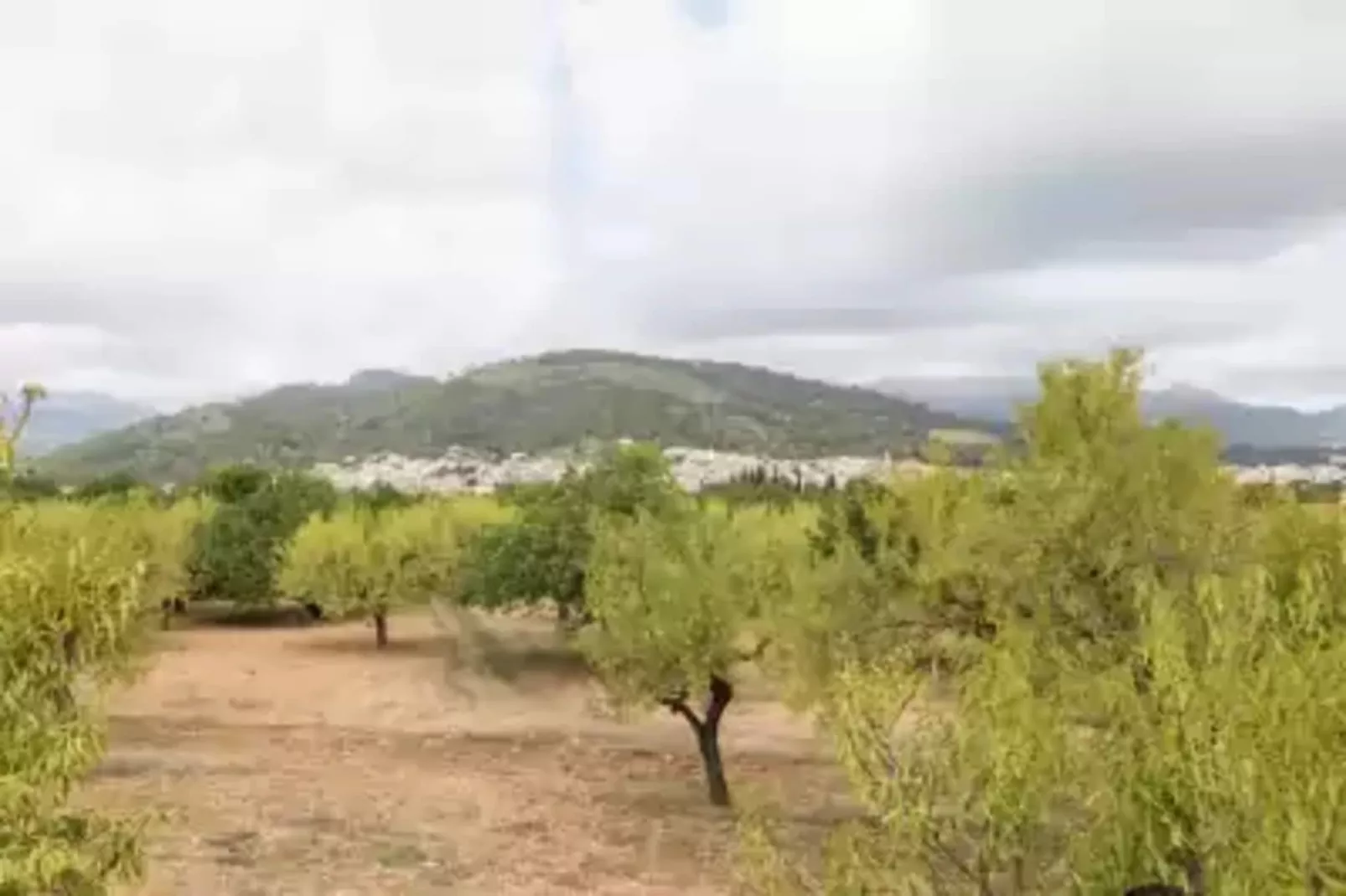 Casa Vella (vall Petit)-Gebieden zomer 5km