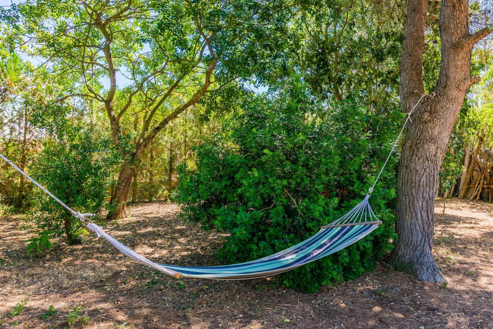 Casa Alba-Gebieden zomer 1km