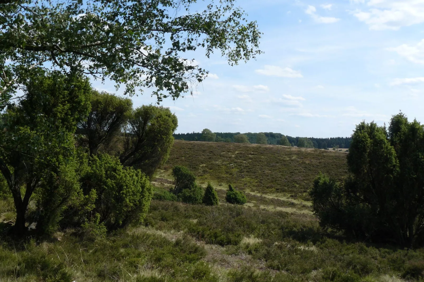 areasummer20km