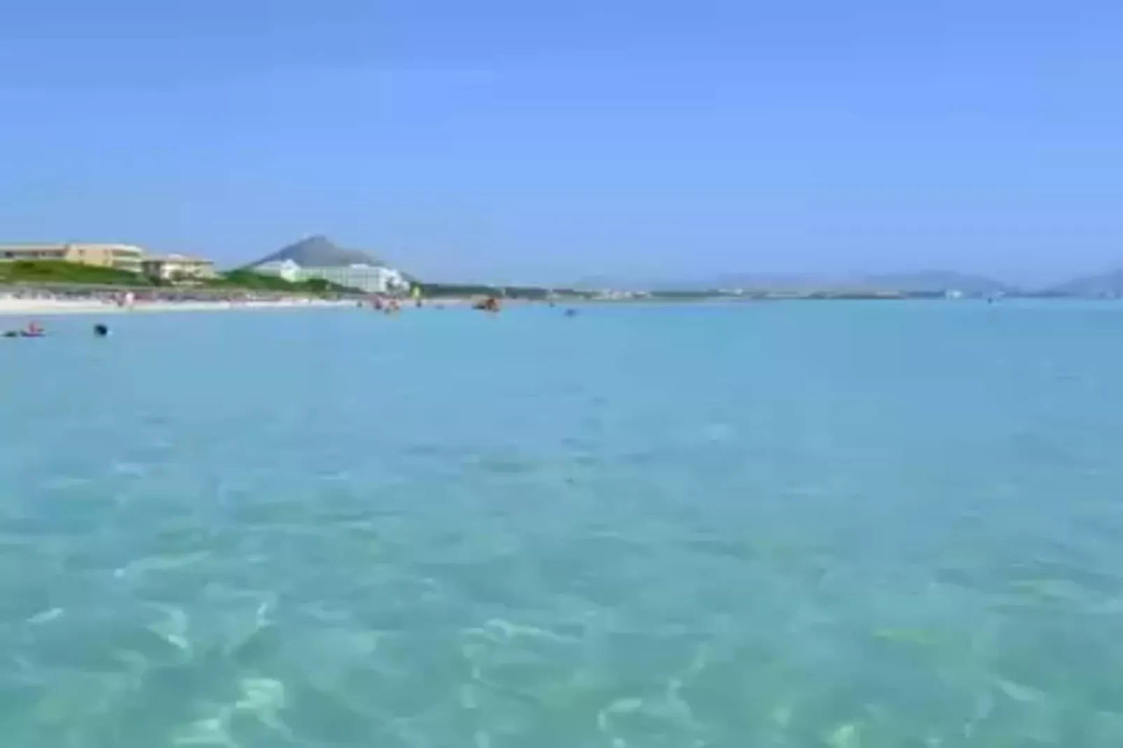 Pinya-Gebieden zomer 1km