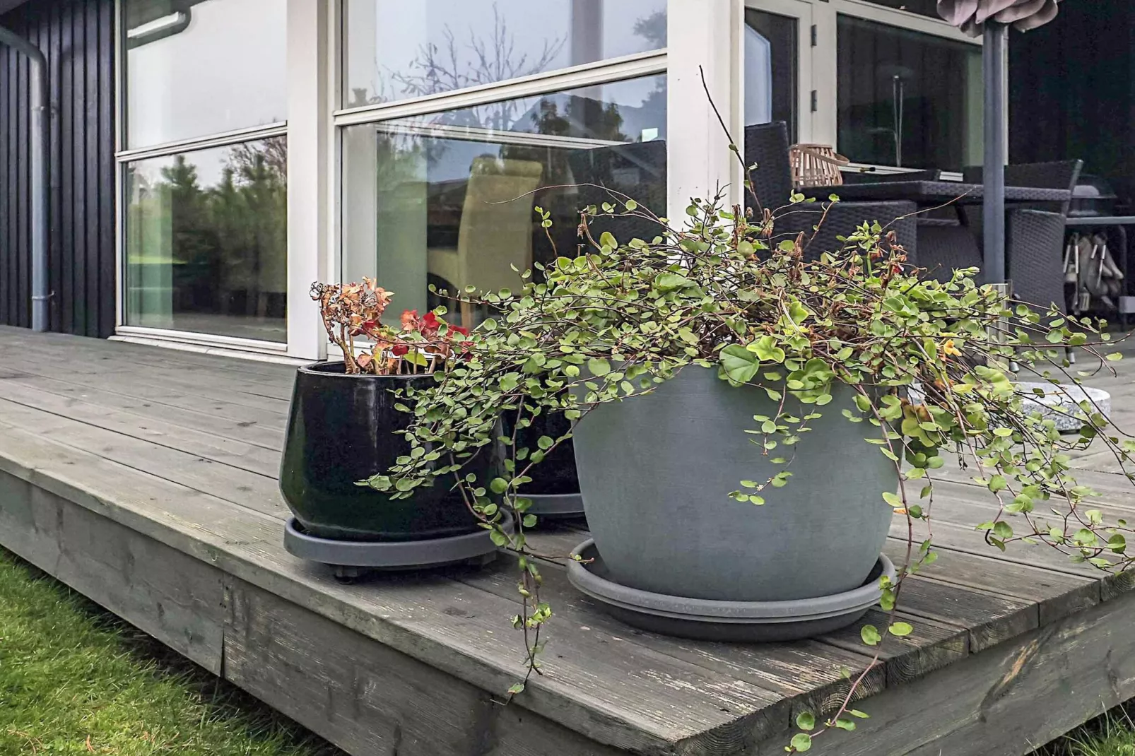 8 persoons vakantie huis in Bogense-By Traum-Uitzicht