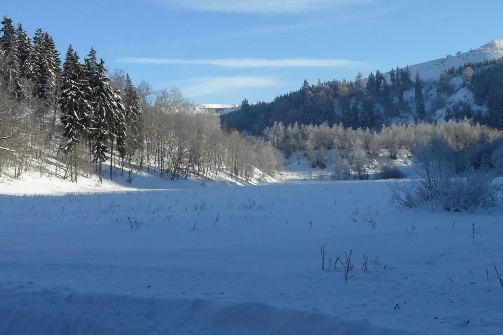 Der alte Kutscherhof-Tuin winter