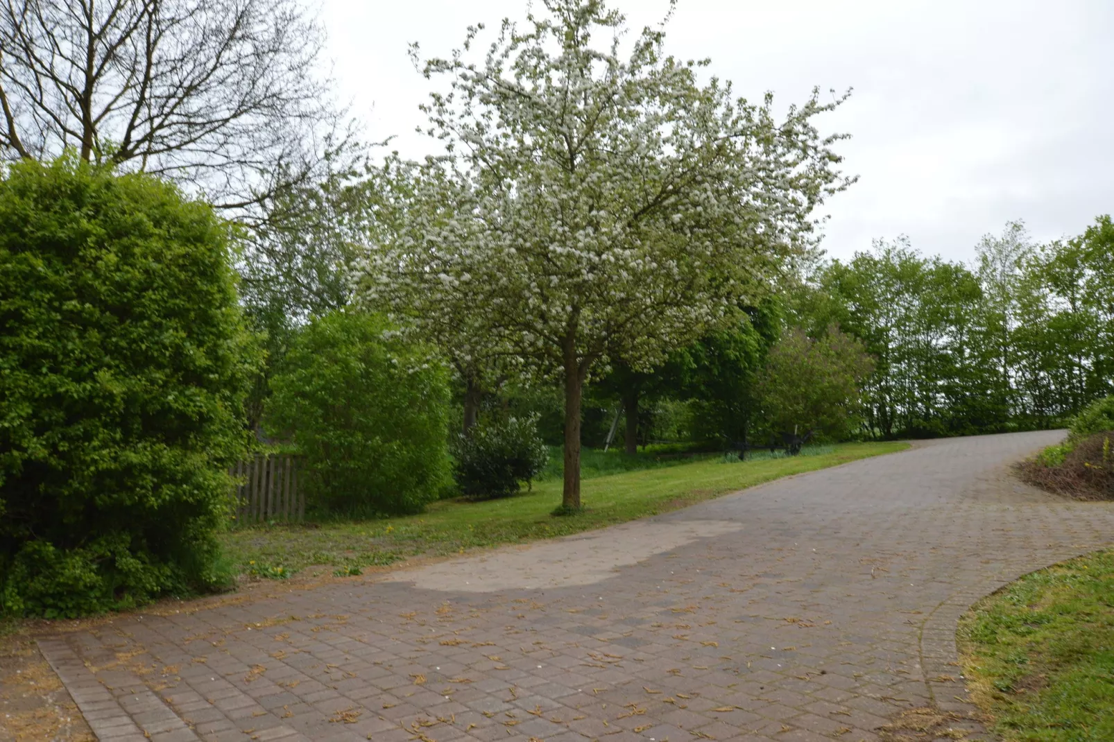Ferienwohnung Grün - Tuinen zomer