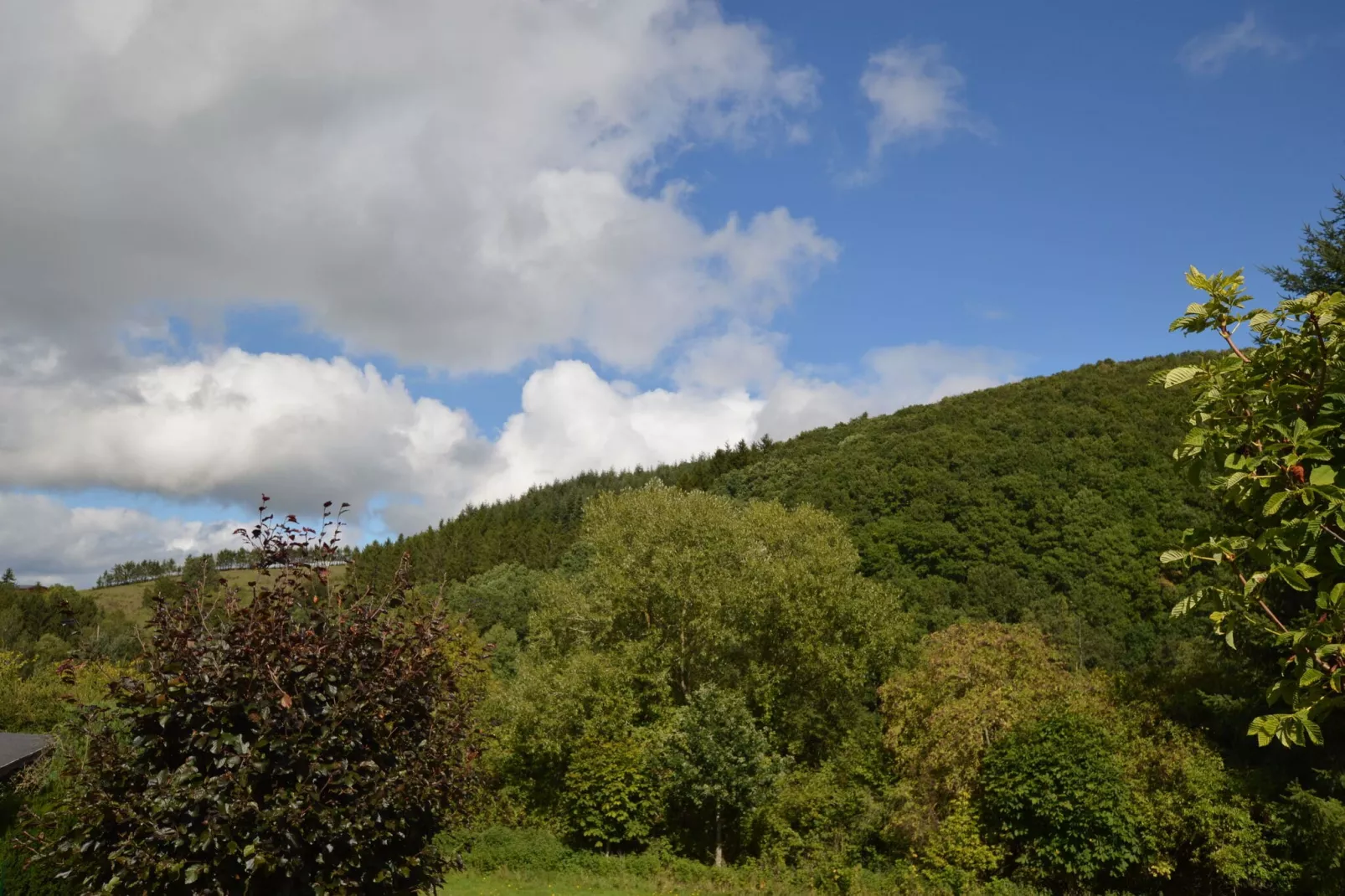 Ferienwohnung Waldblick-Uitzicht zomer