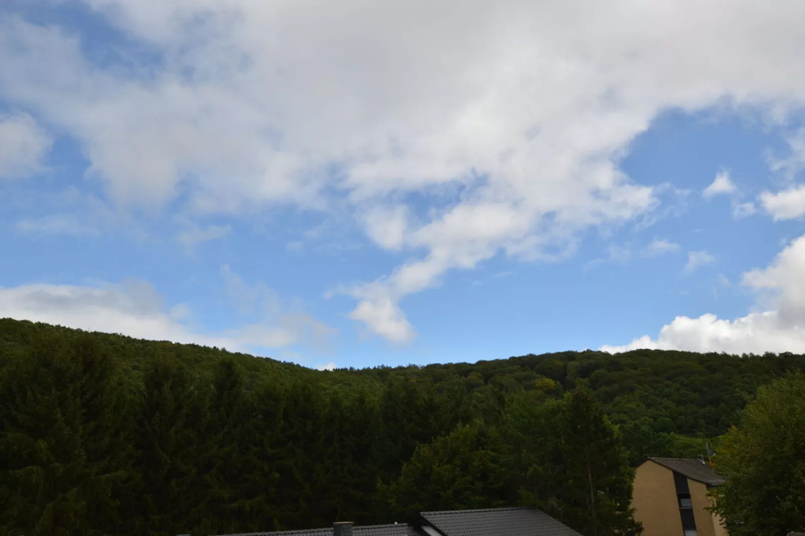 Ferienwohnung Waldblick-Gebieden zomer 1km