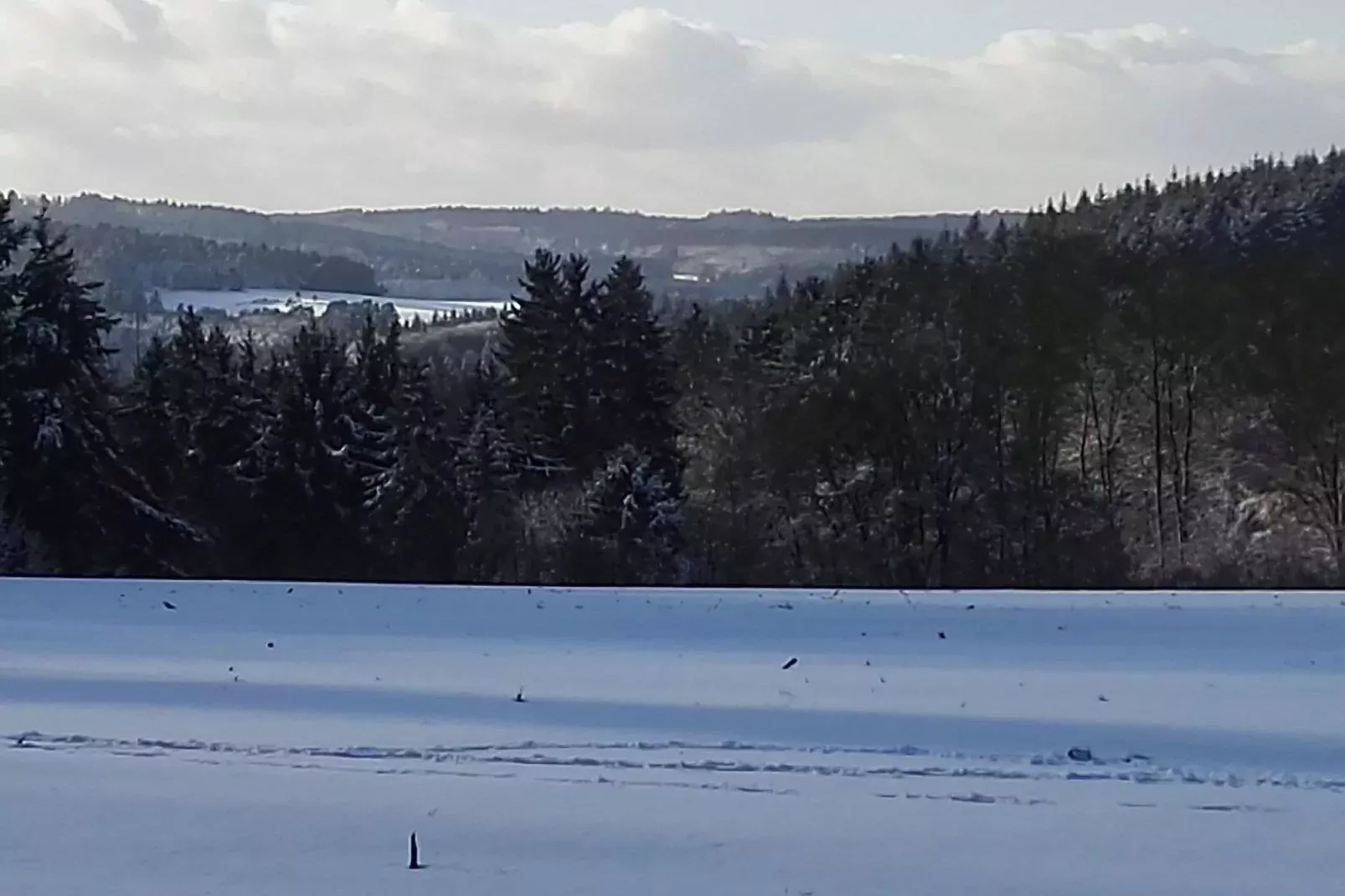 Altes Forsthaus-Gebied winter 5km