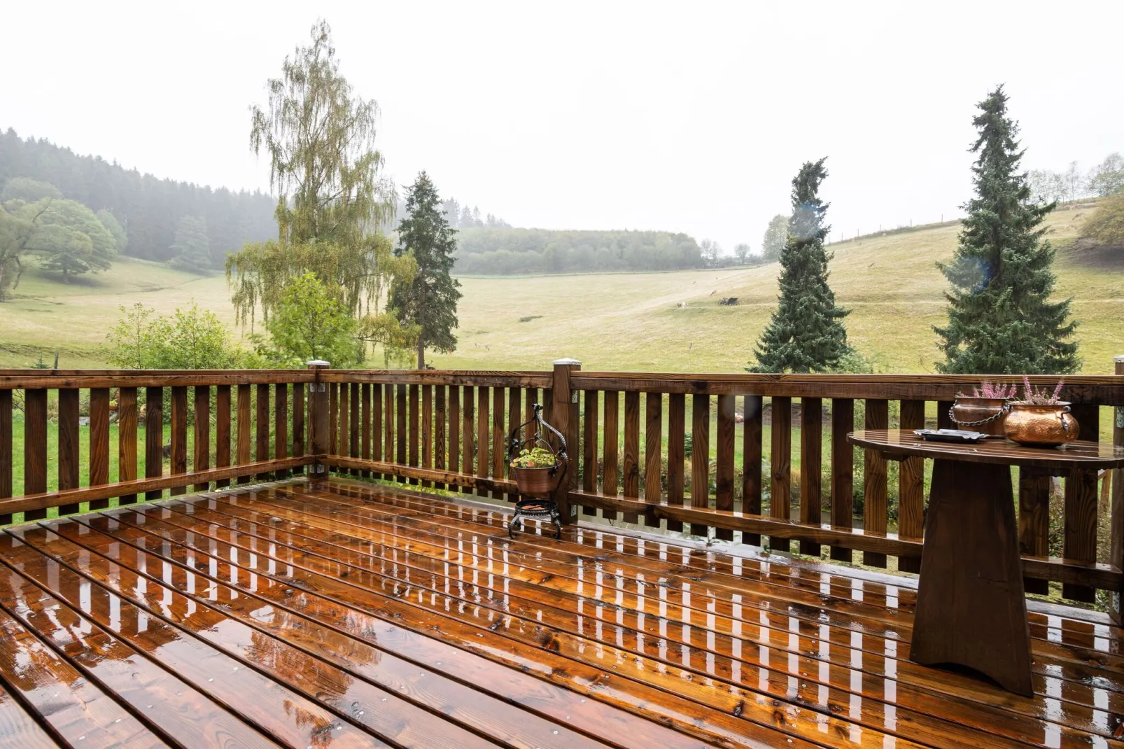Am Damwildgehege-Terrasbalkon