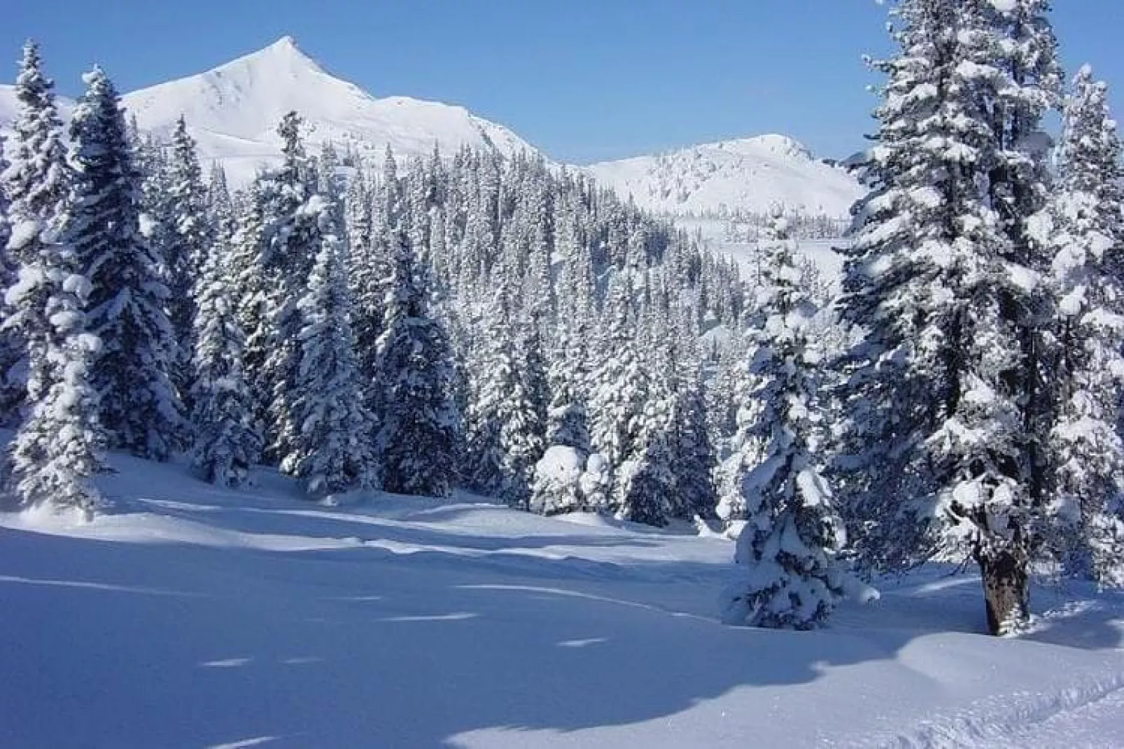 Medebach-Gebied winter 20km