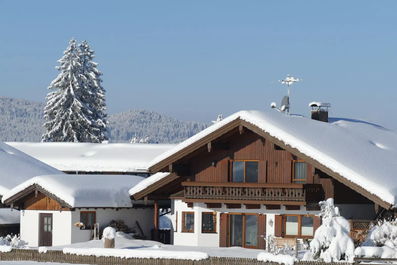 Sonnenblume-Exterieur winter