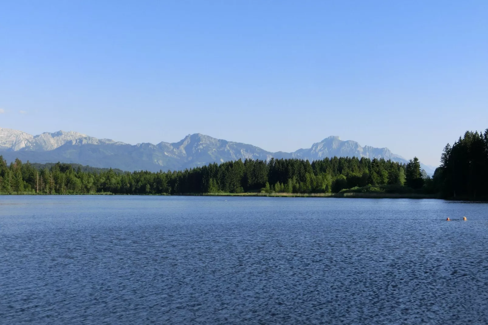 Alpenblick