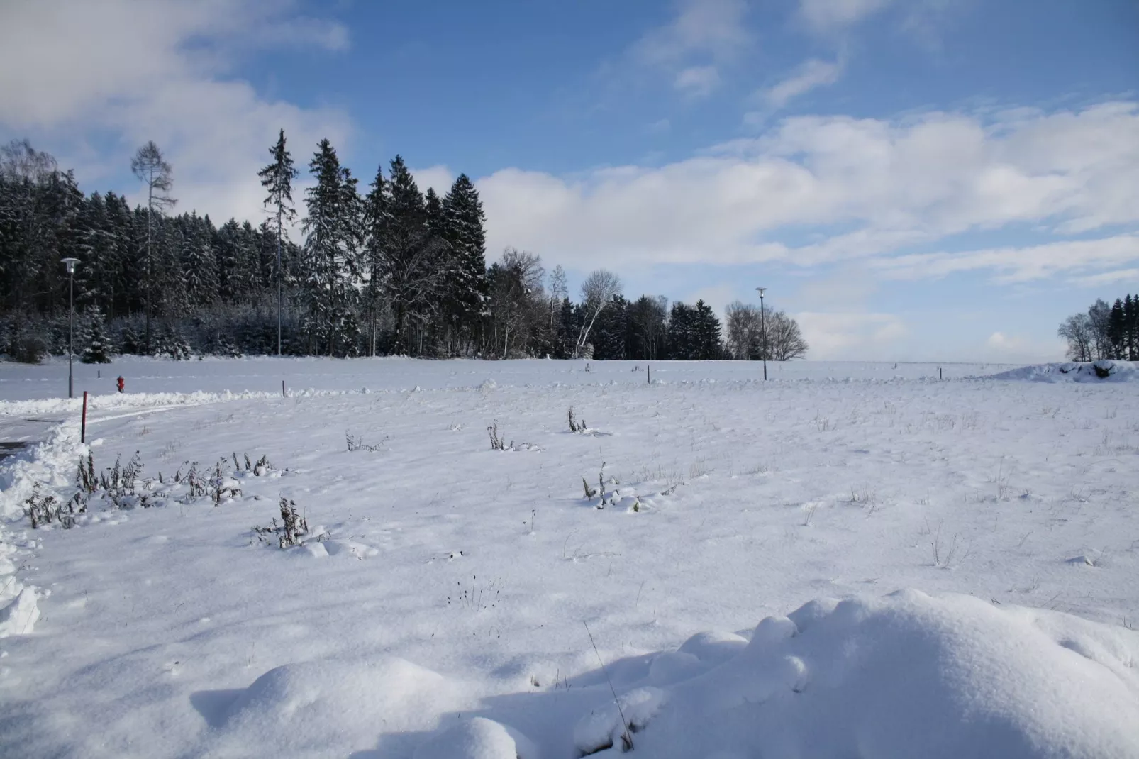 Oberer Bayerischer Wald-Gebied winter 1km
