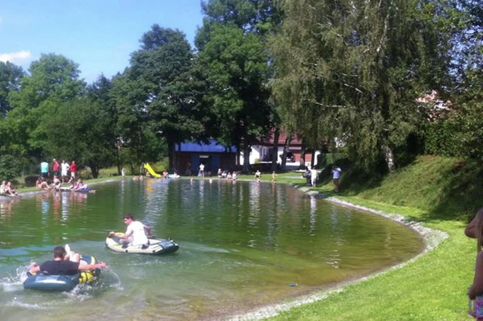 Anna-Gebieden zomer 1km