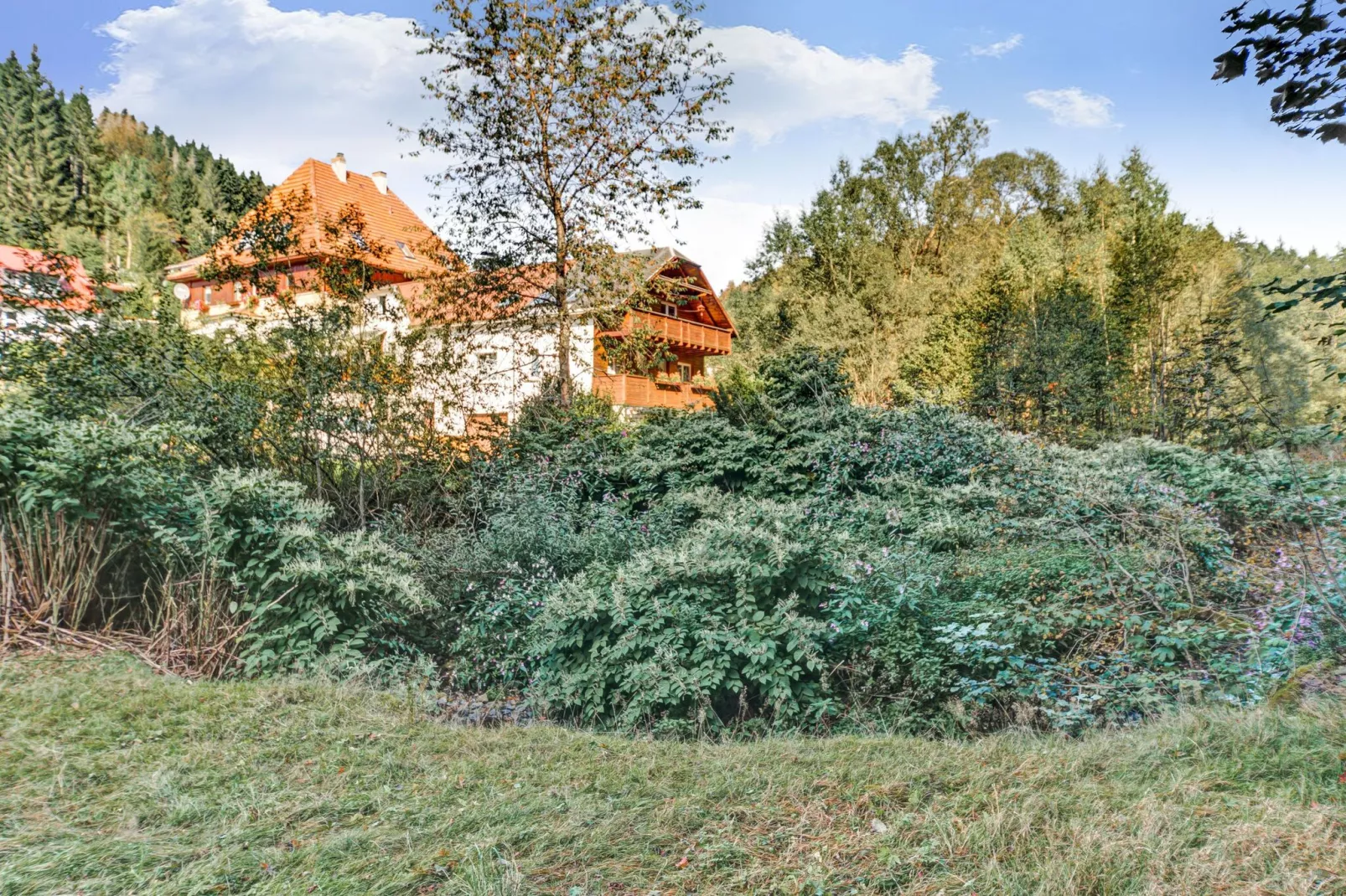 Waldblick-Gebieden zomer 1km