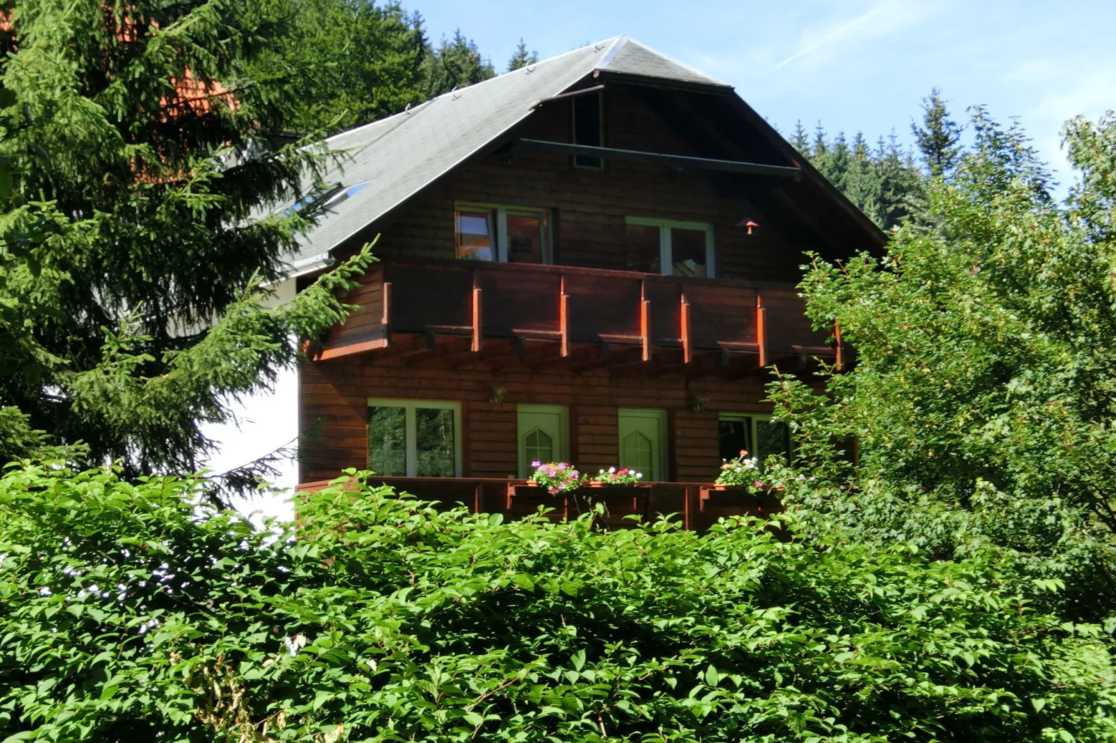 Waldblick