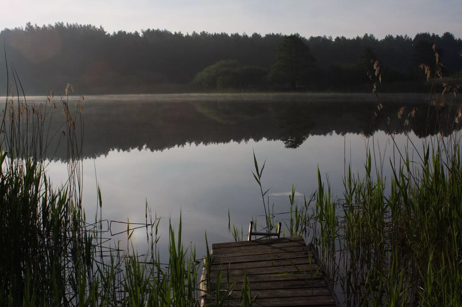 Reihenhaus Tulpe-Gebieden zomer 1km